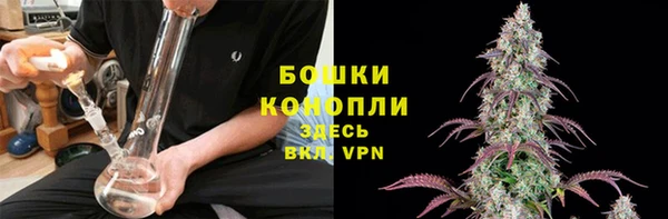 стаф Волоколамск
